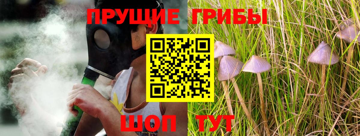 Галлюциногенные грибы прущие грибы  Вход с VPN  Великий Новгород 