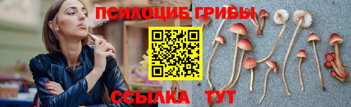 Галлюциногенные грибы мухоморы Великий Новгород